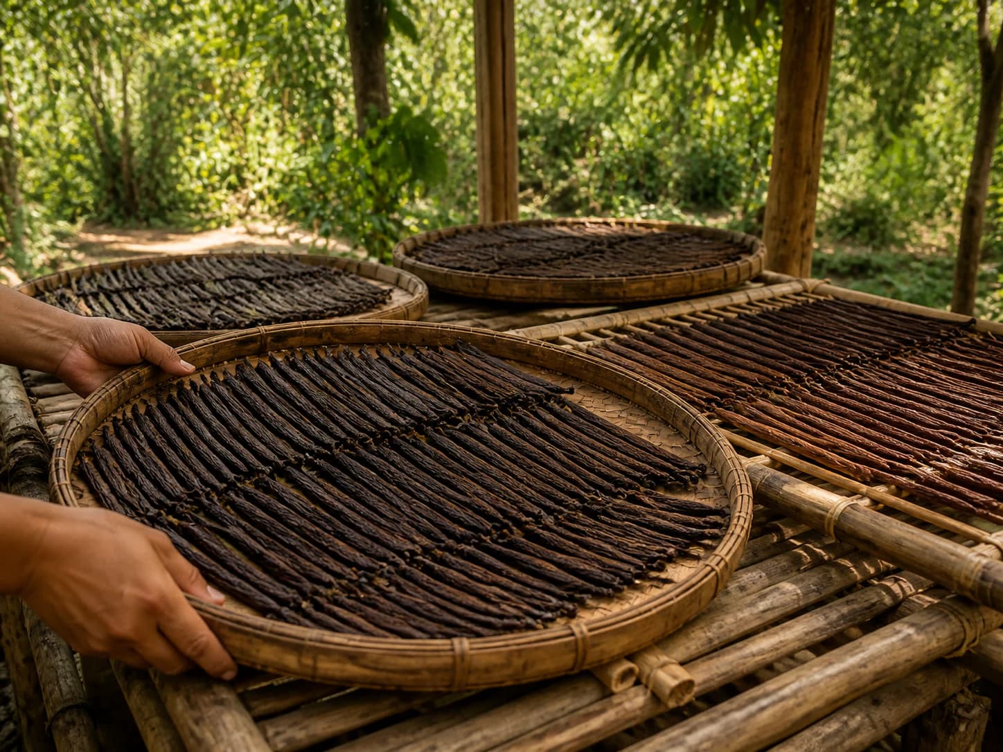 Konzeptvisualisierung: NATÜRLICHE VERARBEITUNG